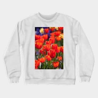 Vibrant Crewneck Sweatshirt